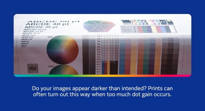 Apakah pigmen tinta mempengaruhi ketahanan warna foto cetak