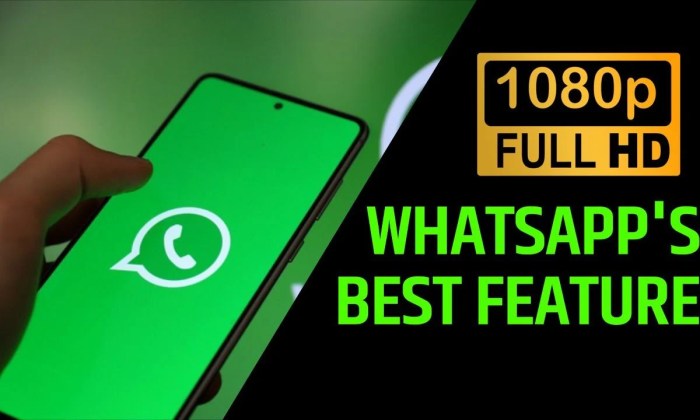 &icirc;How to Send&icirc; &icirc;High Quality&icirc; HD &icirc;Photos&icirc; and Videos &icirc;on WhatsApp&icirc;? - Gizmochina