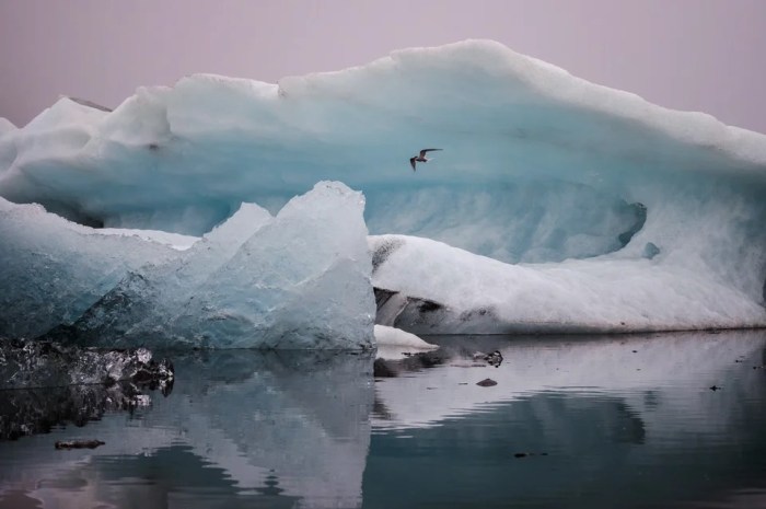 15 &icirc;Composition&icirc; Tips for Powerful &icirc;Photography&icirc;