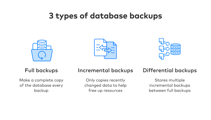 Database &icirc;backup&icirc;: &icirc;Methods&icirc; and benefits