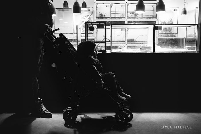 Memotret di kondisi minim cahaya tanpa noise berlebihan