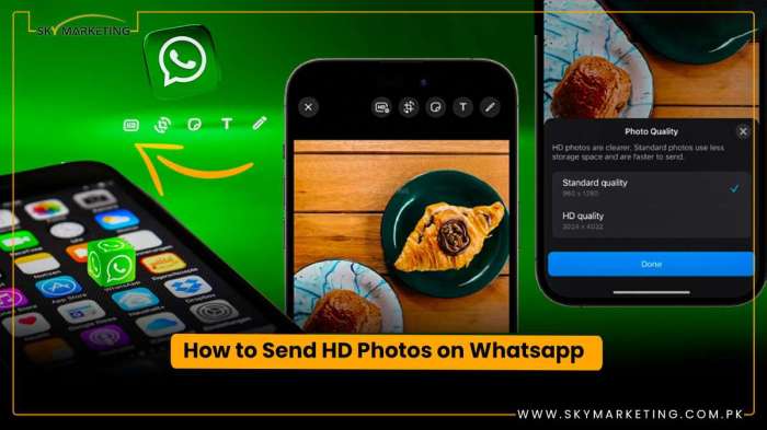 &icirc;How to Send&icirc; HD &icirc;Photos&icirc; &icirc;on Whatsapp&icirc; - Sky Marketing