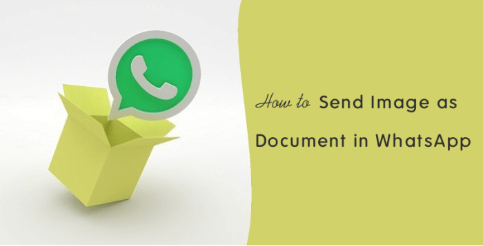 &icirc;How to Send&icirc; Photos as &icirc;Documents&icirc; in &icirc;WhatsApp&icirc; [2025]