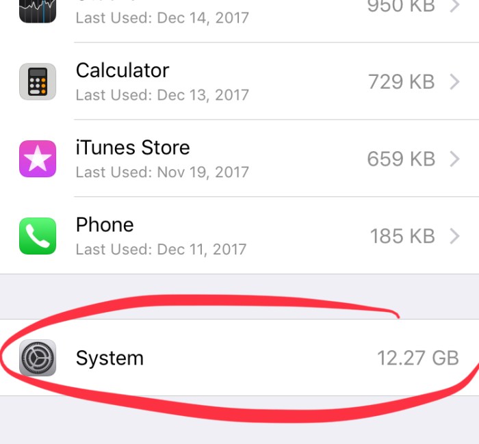 What is &icirc;system&icirc; and &icirc;why&icirc; &icirc;does&icirc; it &icirc;take&icirc; &icirc;up&icirc; &icirc;so&icirc; &icirc;much&icirc; &icirc;space&icirc;? : r/iphone