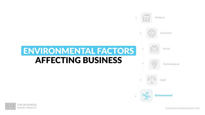 &icirc;Environmental&icirc; &icirc;Factors&icirc;
