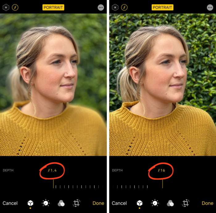 &icirc;How To Use&icirc; &icirc;iPhone&icirc; &icirc;Portrait&icirc; &icirc;Mode&icirc; To Shoot Stunning &icirc;Portrait&icirc; &icirc;Photos&icirc;