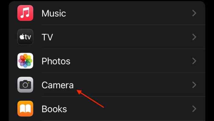 IOS 17: How to Use and Master &icirc;ProRAW&icirc; Options