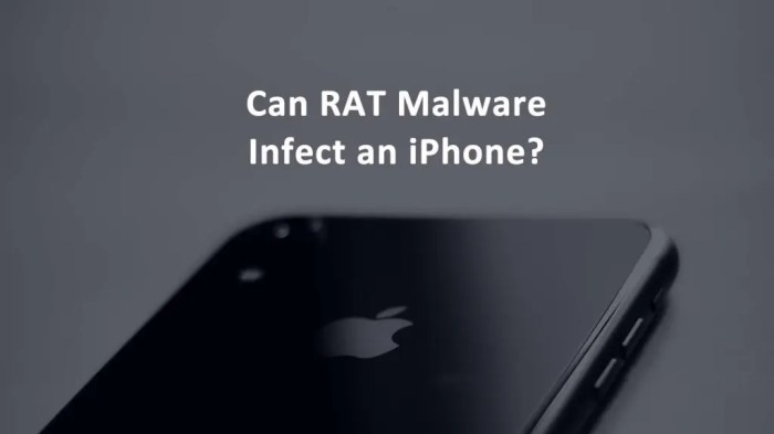 Security firm discovers first iOS &icirc;malware&icirc; that can &icirc;infect&icirc; non ...