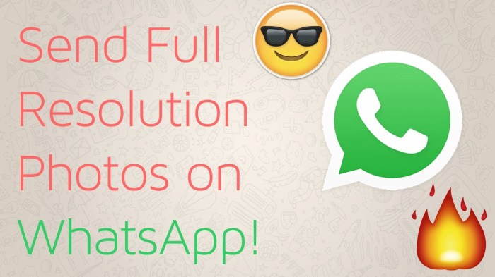 How to &icirc;Send&icirc; Full &icirc;Resolution&icirc; Images on &icirc;WhatsApp&icirc; - Kadva Corp