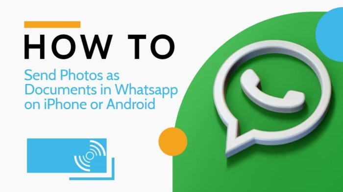 &icirc;How to Send&icirc; Photos as &icirc;Document&icirc; in &icirc;Whatsapp&icirc; on iPhone or Android 2025 ...