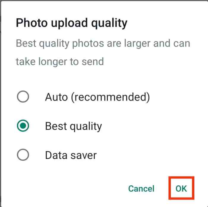 Why Is My &icirc;WhatsApp&icirc; Picture &icirc;Blurry&icirc;? | ITGeared