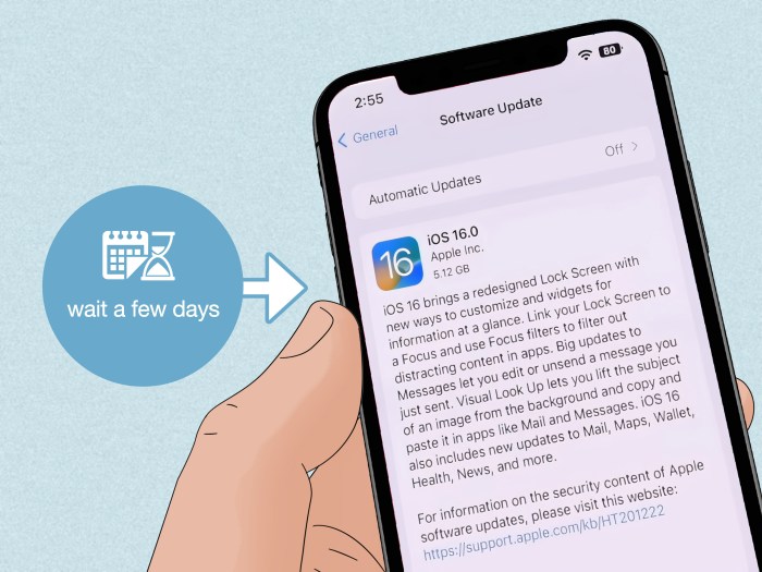 Apa yang harus dilakukan jika mencurigai iPhone diretas