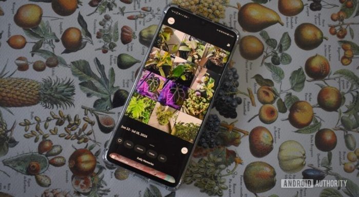 Alternatif Google Photos Privasi Lebih Terjamin! - bikinphotobook