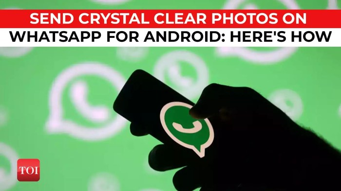 &icirc;How To Send&icirc; More Than 30 &icirc;Photos&icirc; In &icirc;WhatsApp&icirc;?