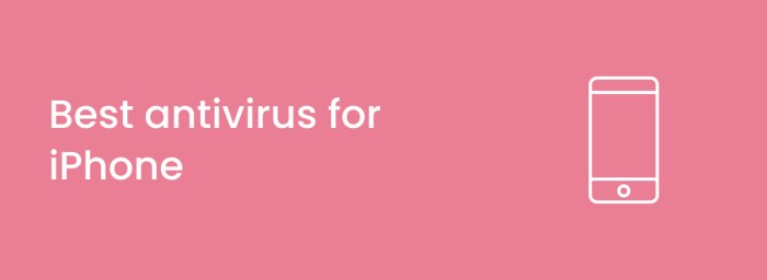 Don't Let Your &icirc;iPhone&icirc; Get Hacked - 5 Virus Safety Tips | Skinny's ...