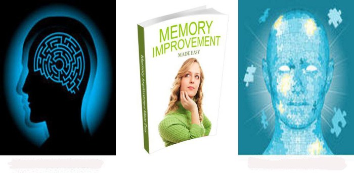 Best &icirc;Android&icirc; &icirc;apps&icirc; for improving &icirc;memory&icirc; - &icirc;Android&icirc; Authority