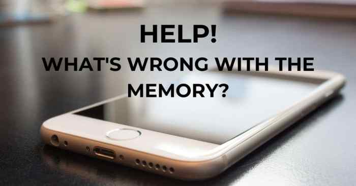 Apa penyebab memori iPhone cepat penuh padahal jarang foto