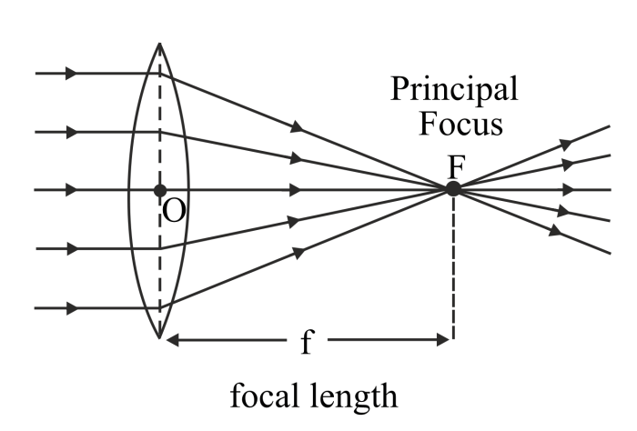 &icirc;Lens&icirc; &icirc;focal&icirc; &icirc;length&icirc; | Photography basics, Dslr photography, Photography tips