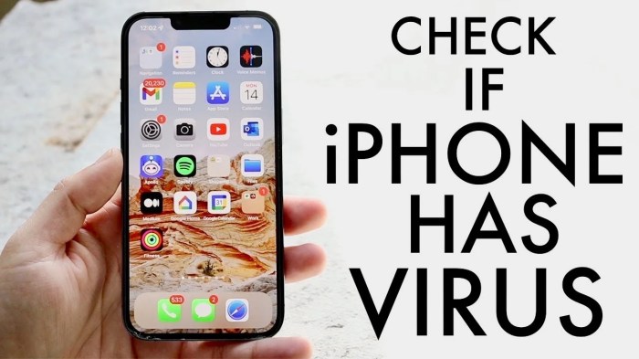 How to check for &icirc;viruses&icirc; on &icirc;iPhone&icirc;