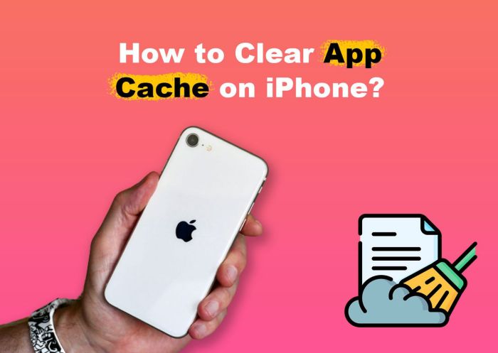 &icirc;How to Clear&icirc; Your &icirc;iPhone&icirc; &icirc;Cache&icirc;