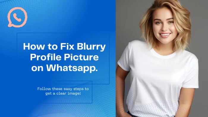 How to Fix &icirc;Whatsapp&icirc; Profile Picture &icirc;Blurry&icirc; In 2024 Media Quality - Meku ...
