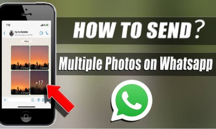 &icirc;How to Send&icirc; &icirc;Multiple&icirc; &icirc;Photos&icirc; &icirc;on WhatsApp&icirc; for iPhone and Android ...