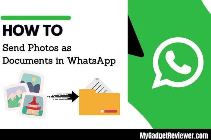 &icirc;How to Send&icirc; Photos as &icirc;Document&icirc; in &icirc;WhatsApp&icirc; on iPhone [New]