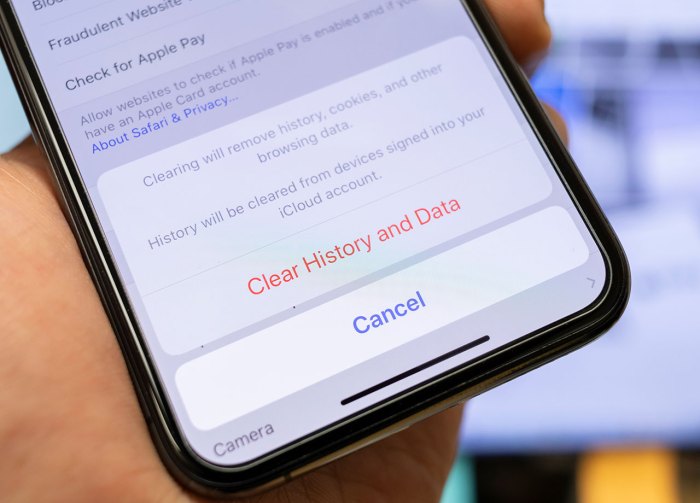 5 Ways to &icirc;Check&icirc; Safari Browsing &icirc;History&icirc; &icirc;on iPhone&icirc;