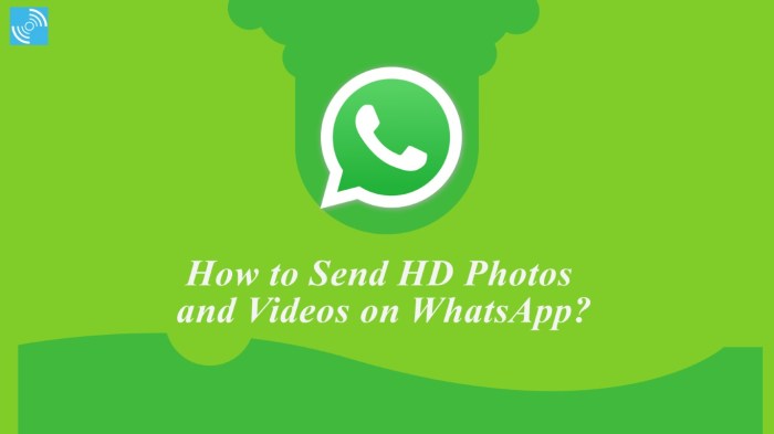 &icirc;How to Send&icirc; &icirc;High Quality&icirc; HD &icirc;Photos&icirc; and Videos &icirc;on WhatsApp&icirc;? - Gizmochina