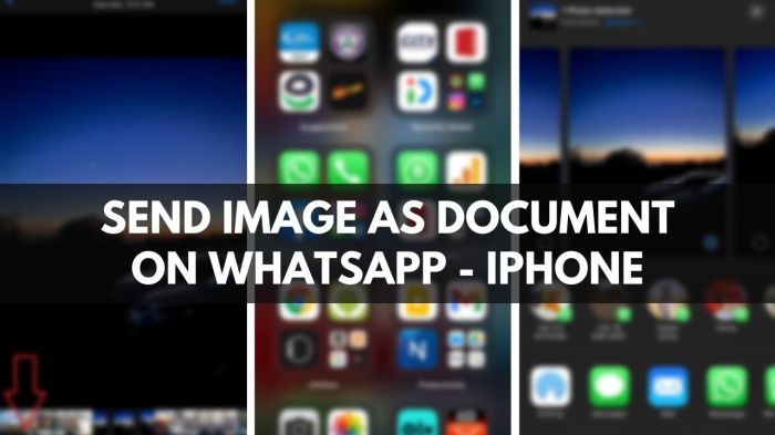 &icirc;How To Send&icirc; Pictures As &icirc;Documents&icirc; &icirc;On WhatsApp&icirc; With Your Android Phone ...