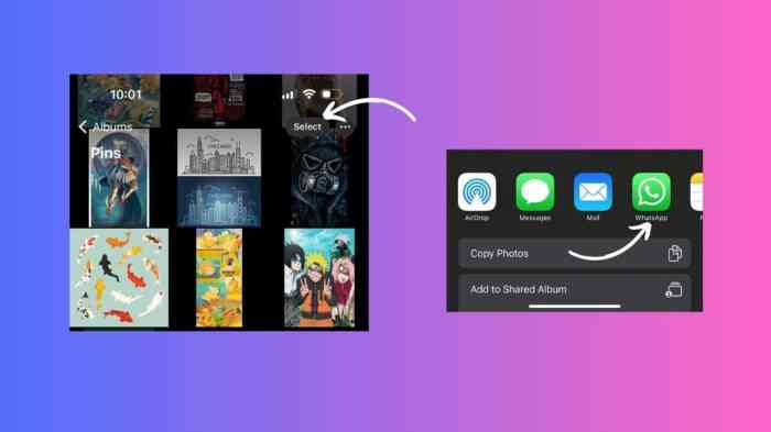 &icirc;How to send&icirc; &icirc;photos&icirc; &icirc;on WhatsApp&icirc; without losing quality (5 ways) - Gizmochina