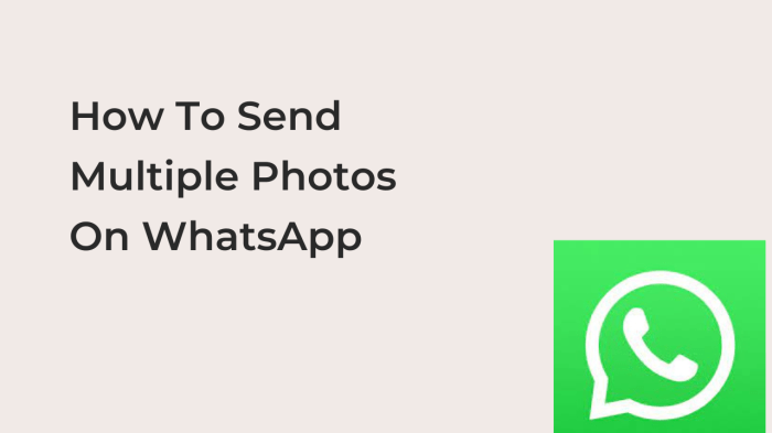 Cara mengirim banyak foto sekaligus di WhatsApp tanpa zip