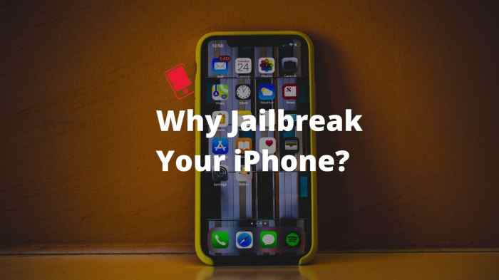 Top Reasons to Jailbreak Your iPhone in 2021 - iPhone Hacks | #1 iPhone ...