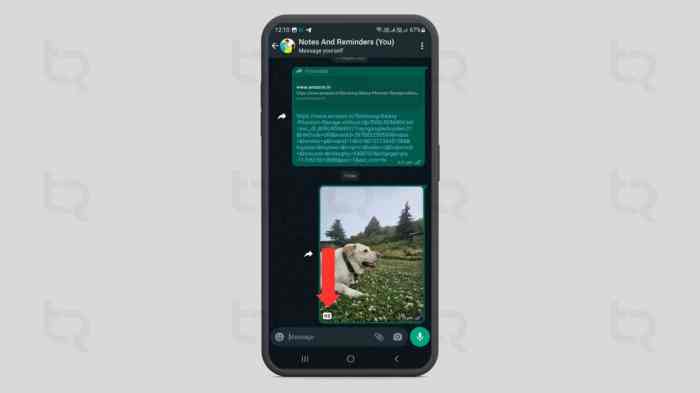 &icirc;Send&icirc; Full Resolution Pictures on &icirc;WhatsApp&icirc; &icirc;Without&icirc; &icirc;Compression&icirc; &acirc;&cent; Android ...