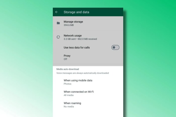 How to &icirc;send&icirc; high &icirc;quality&icirc; photos and video in &icirc;WhatsApp&icirc;