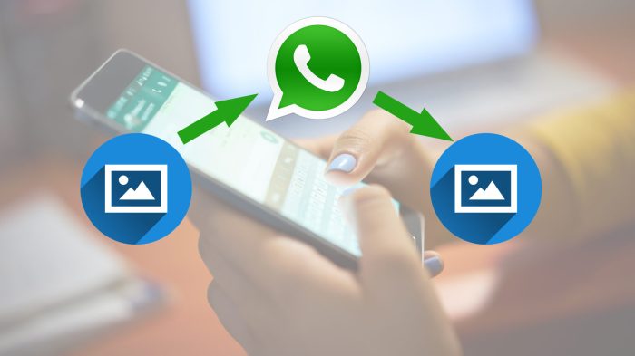 How to &icirc;Send&icirc; Pictures &icirc;Without&icirc; &icirc;Compression&icirc; on &icirc;WhatsApp&icirc; | Beebom